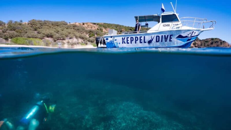 Great Keppel Island: PADI Discover SCUBA Diving - Why This Tour Works Well