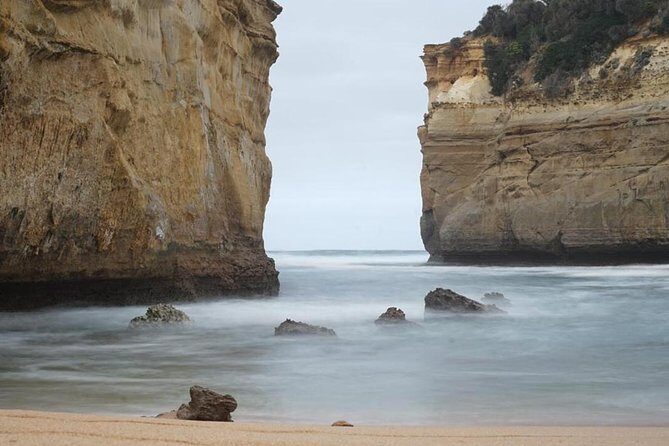 Great Ocean Road 12 Apostles kangaroo, koala and chocolate tour - The Experience: Transportation, Guides, and Group Size