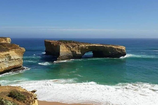 Great Ocean Road 12 Apostles kangaroo, koala and chocolate tour - Authentic Experiences and Honest Feedback from Travelers