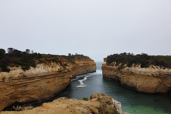Great Ocean Road 12 Apostles kangaroo, koala and chocolate tour - The Sum Up: Who Will Love This Tour?
