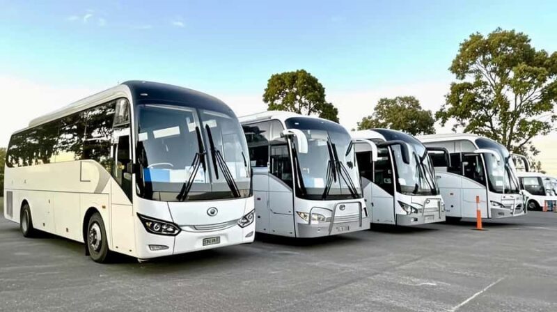 Great Ocean Road 12 Apostles London Bridge Koala Kangaroo - The Transport and Guides: Comfort and Insight