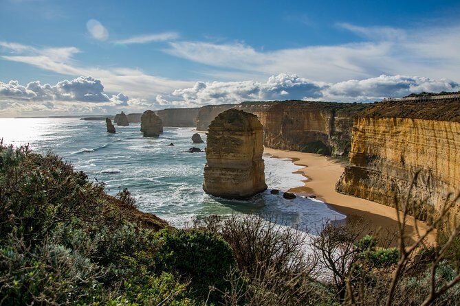 Great Ocean Road 12 Apostles & Rainforest Walk with Morning Tea - How the Tour Delivers Value