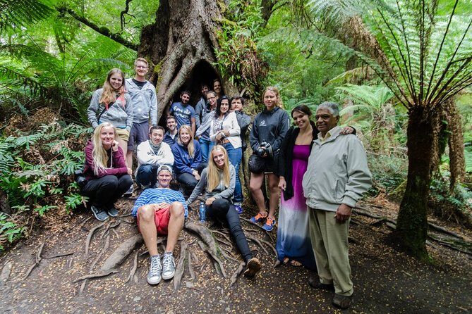 Great Ocean Road 12 Apostles & Rainforest Walk with Morning Tea - FAQs
