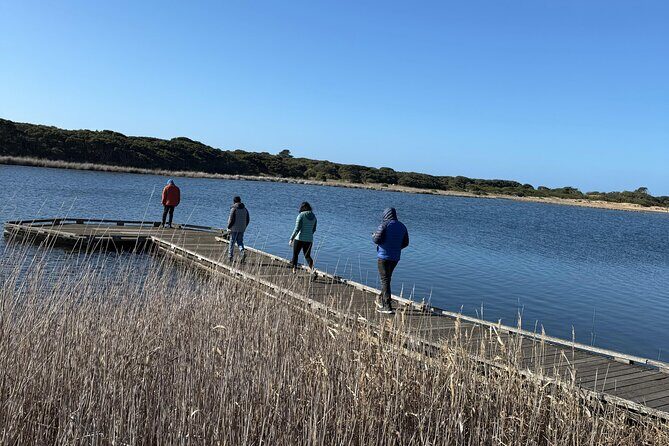 Great Ocean Road and 12 Apostles Private Day Tour - Final Thoughts