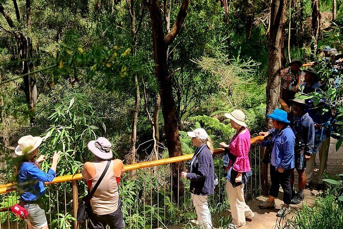 Great Ocean Road Coastal Spectcular with Wildlife Wonders - FAQ