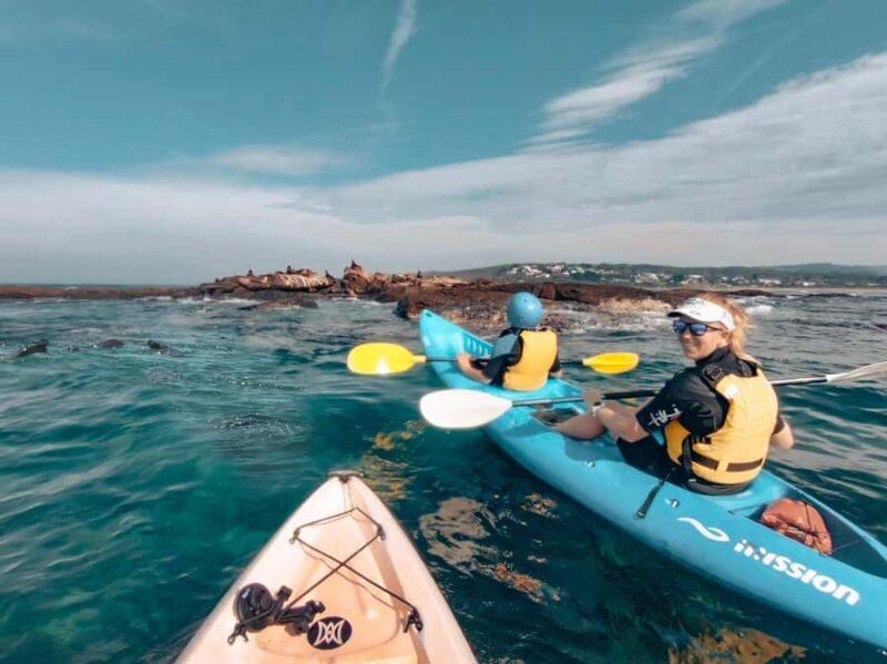 Great Ocean Road: Kayaking with Seals Tour - The Experience in Detail