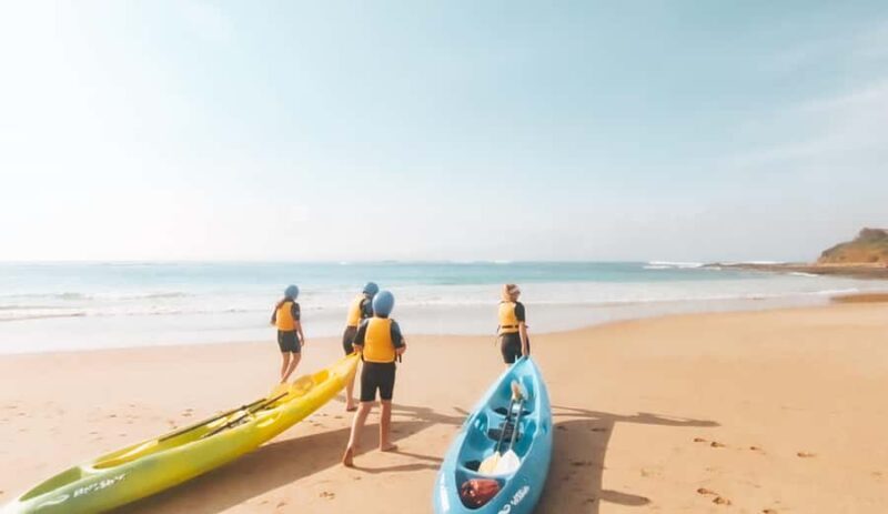 Great Ocean Road: Kayaking with Seals Tour - Final Word