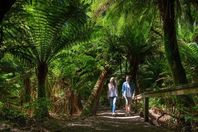 Great Ocean Road Private Tour - The Itinerary in Detail: What Makes This Tour Stand Out