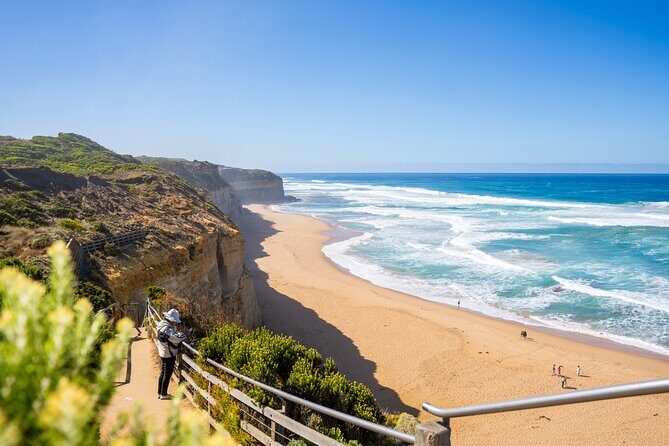 Great Ocean Road Reverse Itinerary Boutique Tour - Max 11 Guests - Final Thoughts: Who Should Book This Tour?