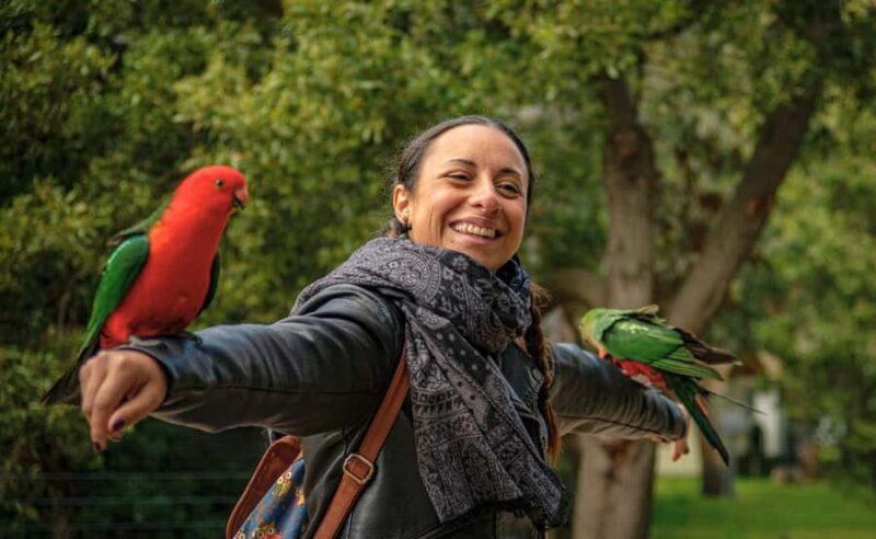 Great Ocean Road Tour w/ Deluxe Minibus & Top-Rated Guide - Key Points