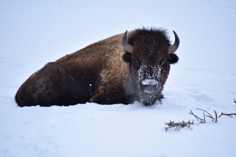 Great Plains Zoo - Exploring the Exhibits: What You Can Expect
