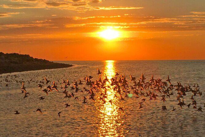 Great Salt Lake Birding and Nature Adventure - Practical Details and What to Expect