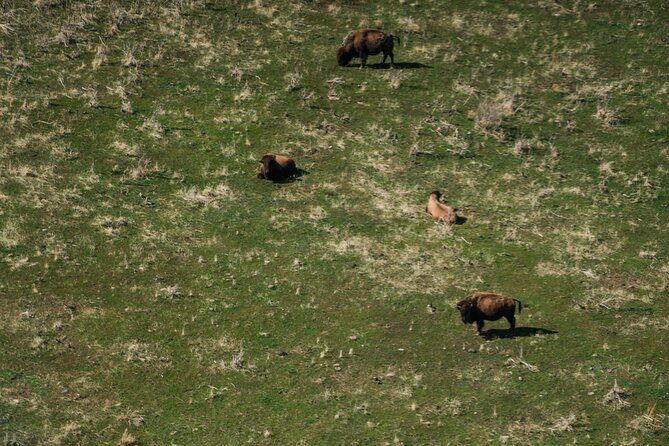 Great Salt Lake Flying Tour - Why Consider This Tour?