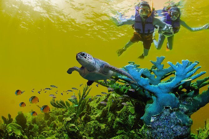 Great Saving: Sian Kaan Tour-expedition - Key Points