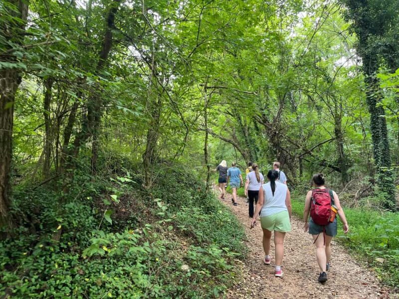 Great Smoky Mountains: Guided Hike & Outdoor Painting Class - What Travelers Say