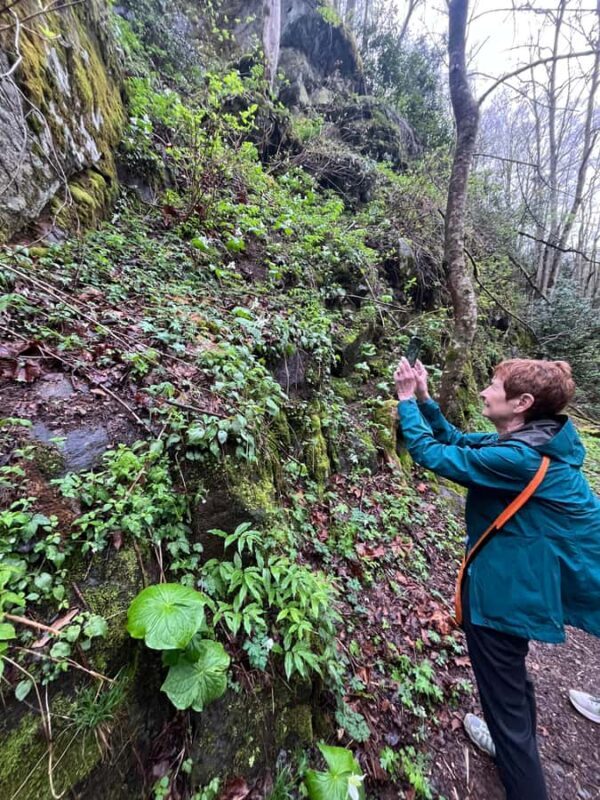 Great Smoky Mountains: Guided Hike & Outdoor Painting Class - FAQ