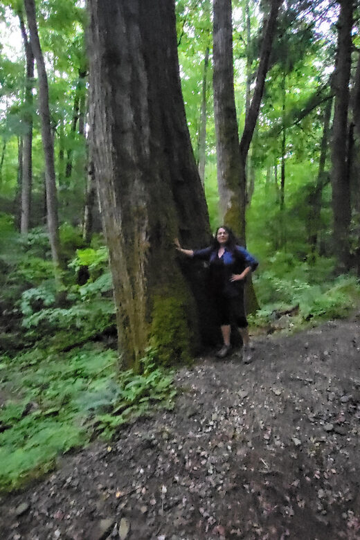 Great Smoky Mountains: Hiking Tours and Waterfall Walks - A Closer Look at the Itinerary and Experience