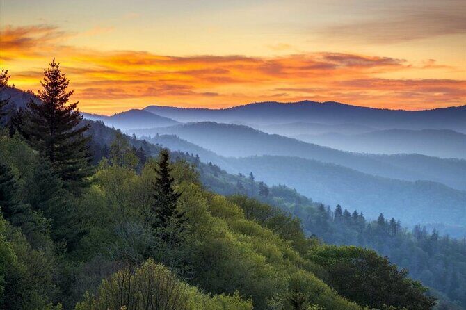 Great Smoky Mountains National Park Self-Guided Audio Tour - Short Walks & Nature Trails