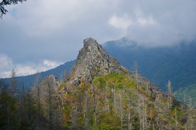 Great Smoky Mountains Self-Guided Scenic Drive and Audio Tour - Who Should Consider This Tour?