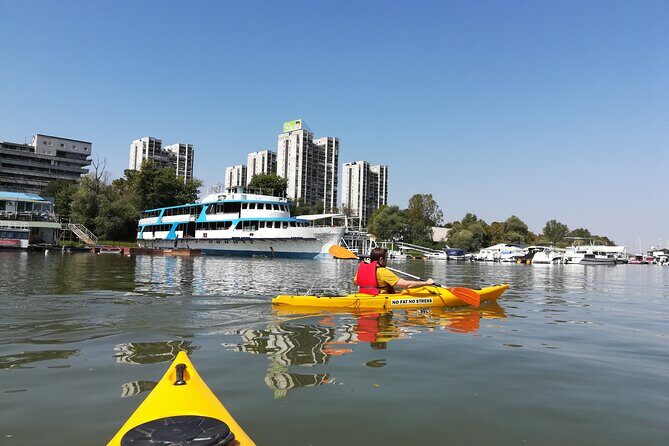 Great War Island Kayak Adventure - Why You Should Love This Experience