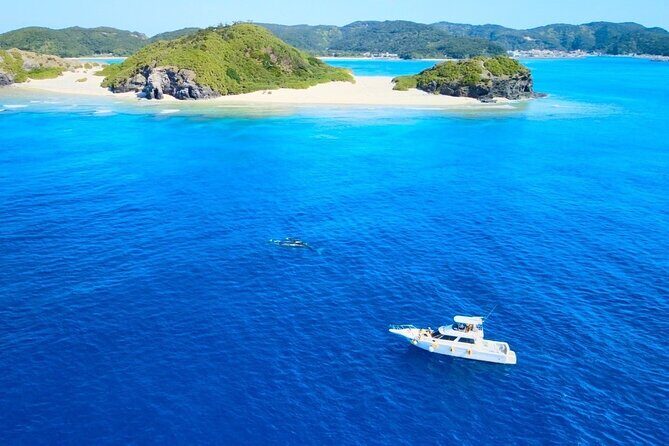 Great Whale Watching at Kerama Islands and Zamami Island - Who is this tour best suited for?