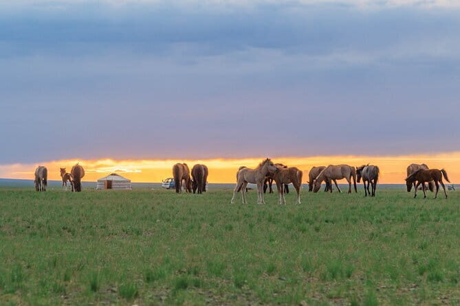 Greate White Lake and Gobi desert - Key Points