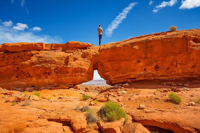 Greater Zion: Dinosaur Tracks in the Desert UTV Tour - Exploring the Hidden Wonders of Greater Zion