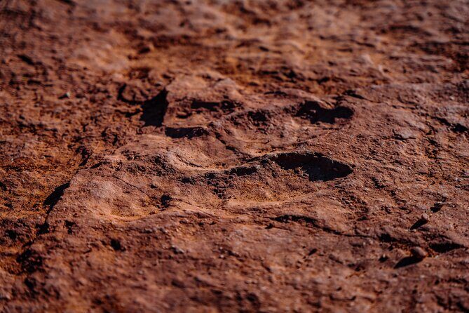 Greater Zion: Extreme Adrenaline UTV Tour in Sand Hollow - Who Will Love This Tour?