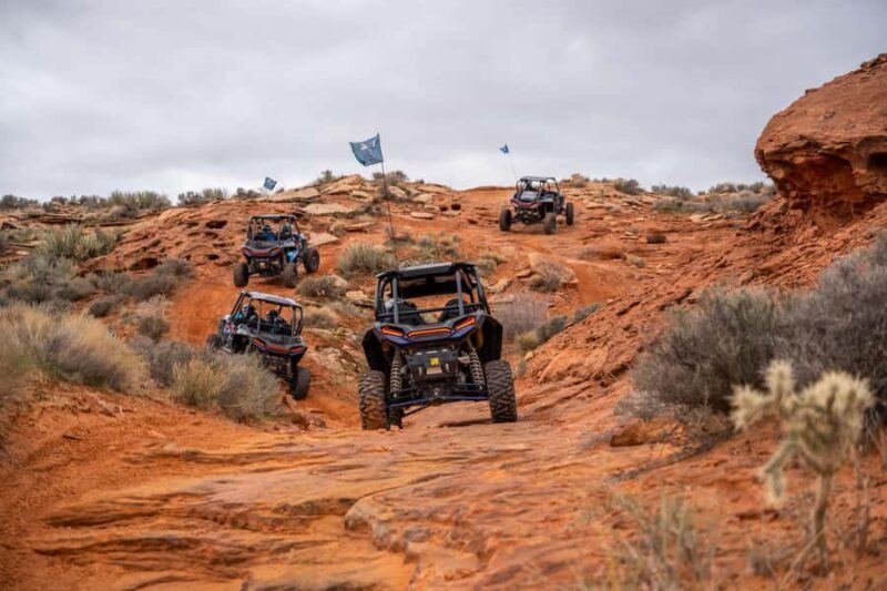 Greater Zion: Family Friendly UTV Tour near Zion - Key Points