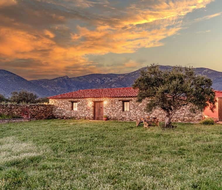 Greece in a Drop: Olive Grove Walk and Olive Oil Tasting - What Makes This Tour Stand Out?