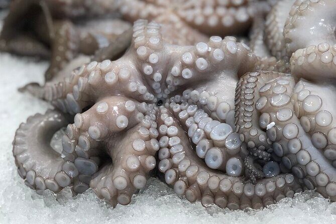 Greek traditional tastes The Kalamata Gastronomic Food Tour - Final Verdict