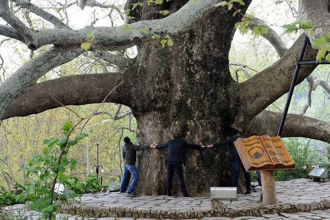 Green Bursa and Uluda Tour from Istanbul - Frequently Asked Questions