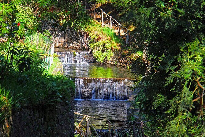 Green Cauldron - An In-Depth Look at the Green Cauldron Tour