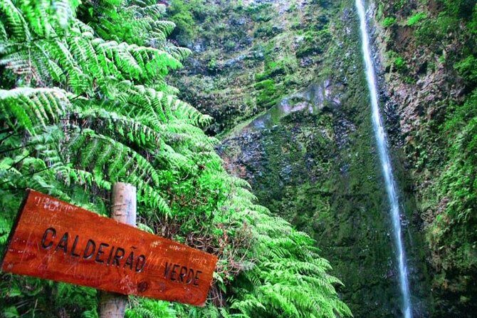 Green Cauldron - Final Thoughts