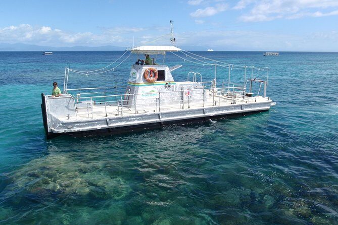 Green Island Day Trip from Cairns with Beaches Transfers - Who Will Love This Tour?