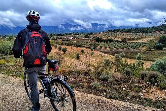 Greenway Section Cretas - Horta de Sant Joan 11km (90% descending 10% flat) - An In-Depth Look at the Greenway from Cretas to Horta de Sant Joan