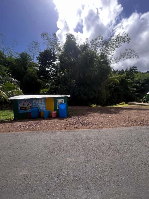 Grenada: River Tubing Adventures - An In-Depth Look at Grenada’s River Tubing Adventure