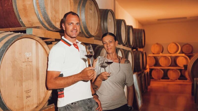 Greve in Chianti: Tour and tasting of organic Chianti Classico and Tuscan snacks - Discovering the Charm of Greve in Chianti: An Authentic Wine & Food Experience