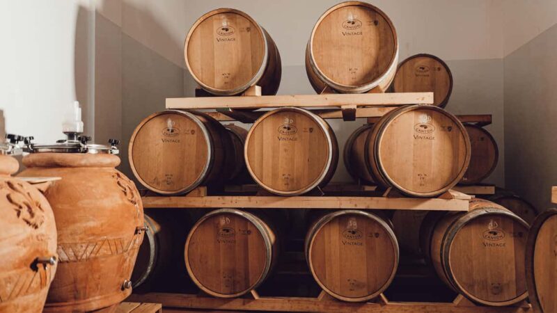 Greve in Chianti: Tour and tasting of organic Chianti Classico and Tuscan snacks - Key Points