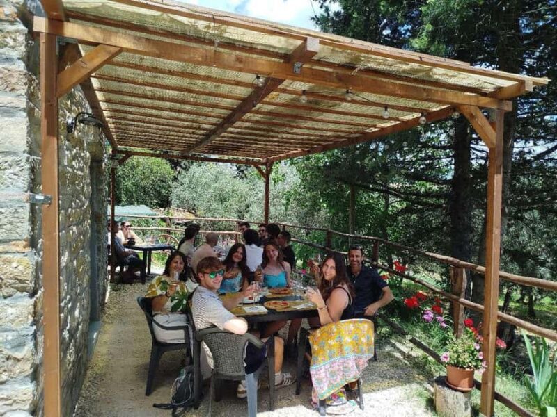 Greve in Chianti: Wine tasting and visit to our small winery - The Tasting Experience: Four Wines and Authentic Flavors