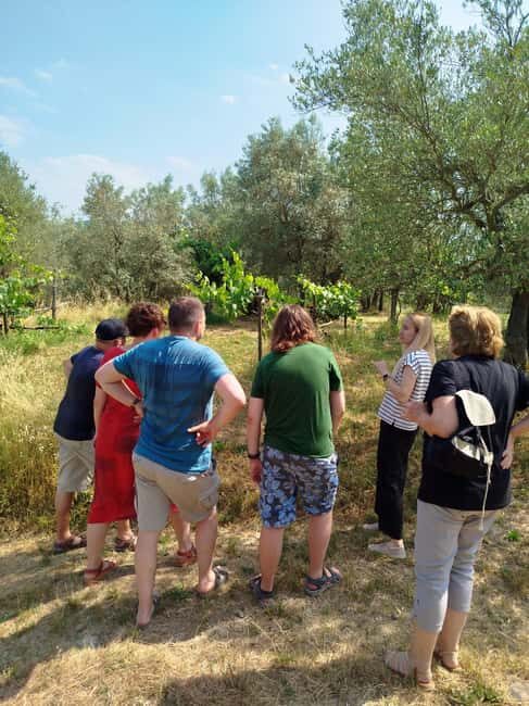 Greve in Chianti: Wine tasting and visit to our small winery - FAQ