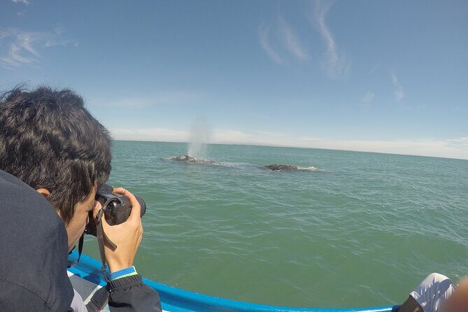 Grey whale watching in Puerto Chale, Mexico - Key Points