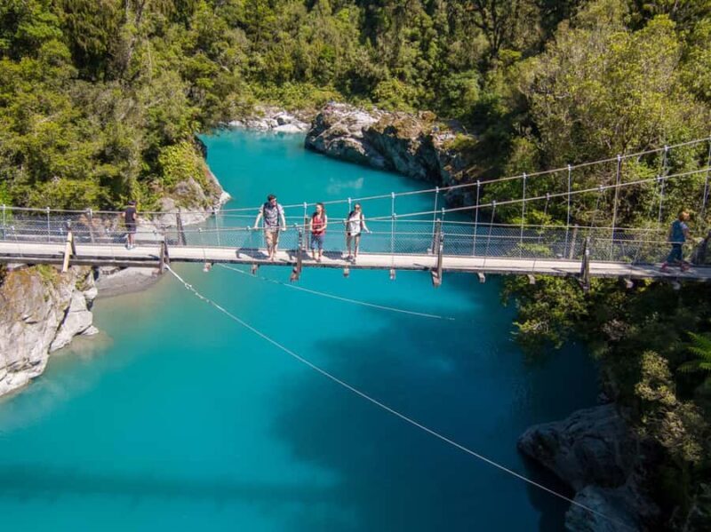 Greymouth: Full-Day Best Of The West Tour - Tree Top Walkway: Amongst Giants