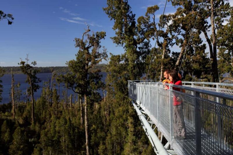 Greymouth: Hokitika Gorge and Tree Top Walkway Half-Day Tour - Key Points