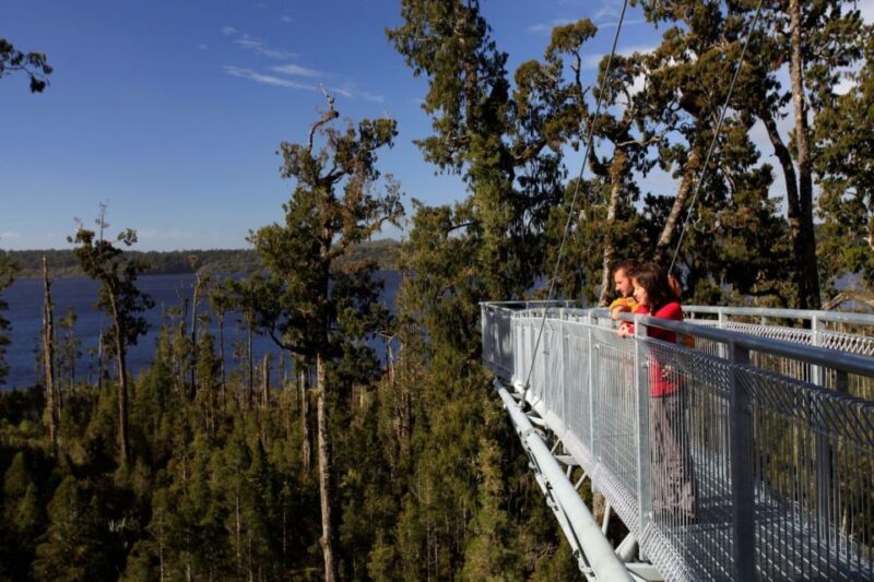 Greymouth: Hokitika Gorge and Tree Top Walkway Half-Day Tour - Who Should Consider This Tour?