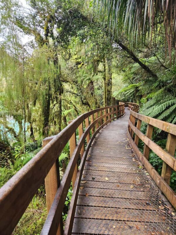 Greymouth: Hokitika Gorge and Tree Top Walkway Half-Day Tour - The Sum Up