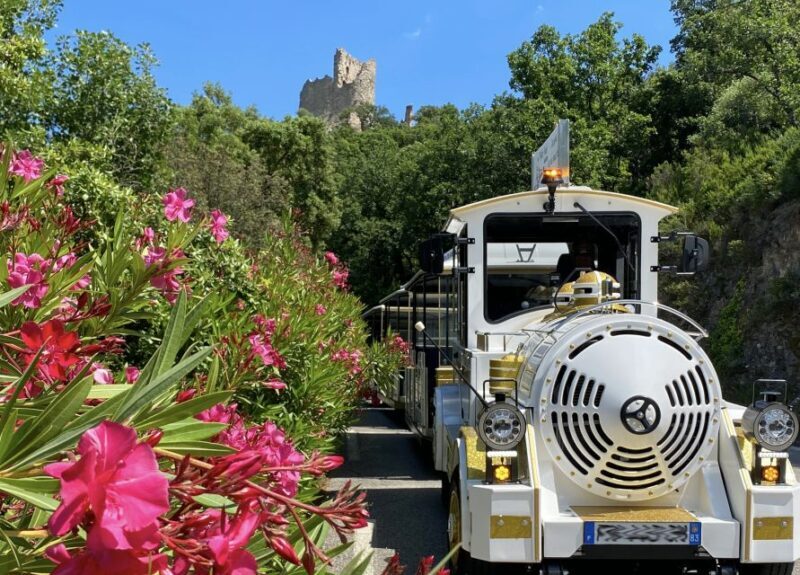 Grimaud: Guided Tour of Port Grimaud & Grimaud by Train - Key Points