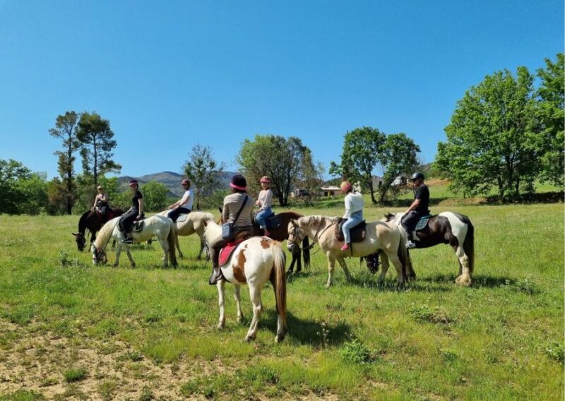 Grimaud: Horseback Riding & Wine Tasting in Maures Forest - Final Thoughts