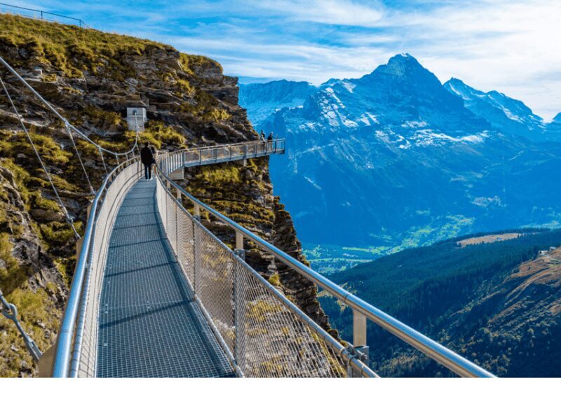 Grindelwald First Top of Adventure Private Trip - Introduction: An Exclusive Swiss Journey