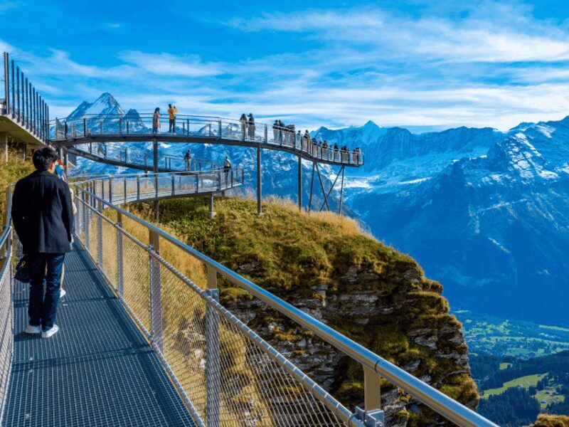 Grindelwald First Top of Adventure Private Trip - Potential Considerations